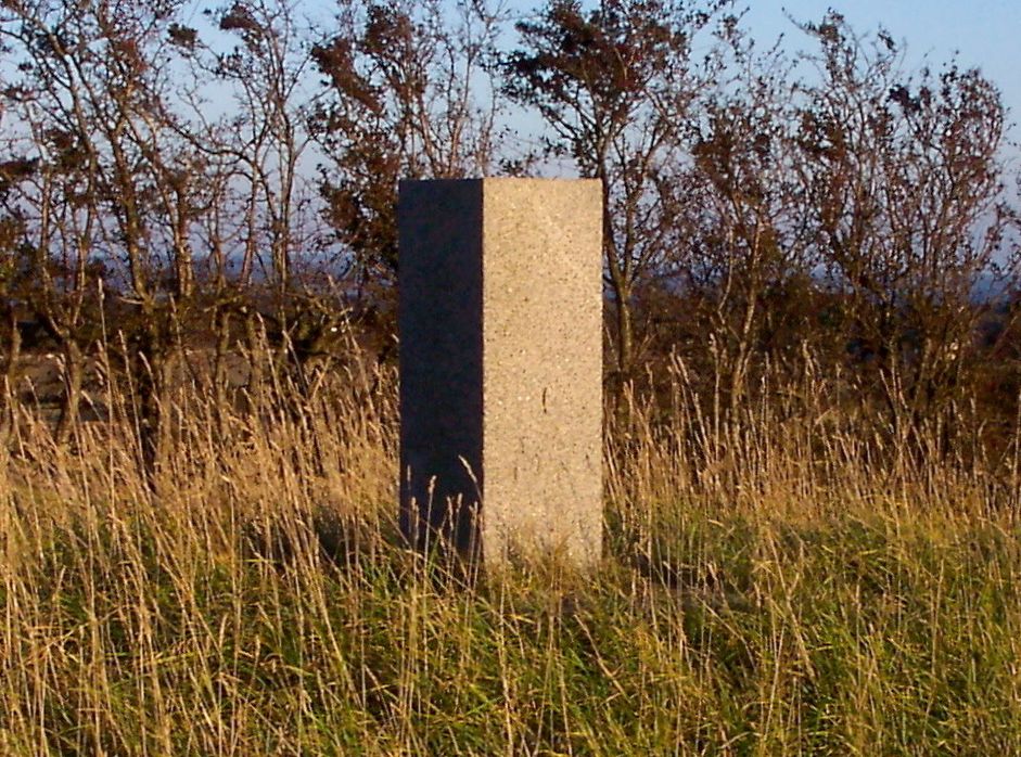 Svendemose Bakke / Nældemose