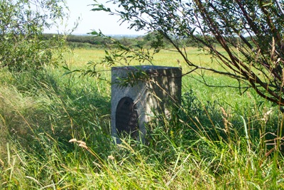 Kirkebakke / Biersted