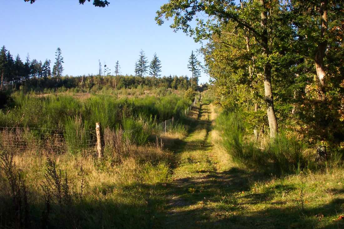 Lerbjerg / Svanninge Bakker