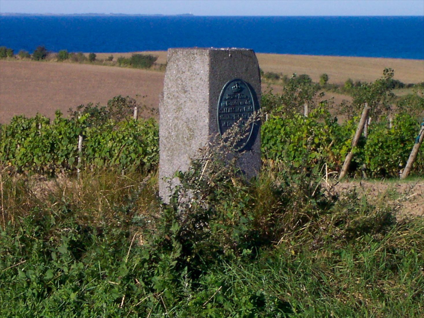 Hulbjerg / Havnebyen